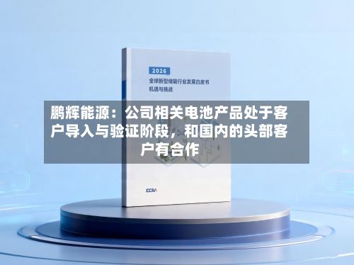 鹏辉能源：公司相关电池产品处于客户导入与验证阶段，和国内的头部客户有合作-第2张图片