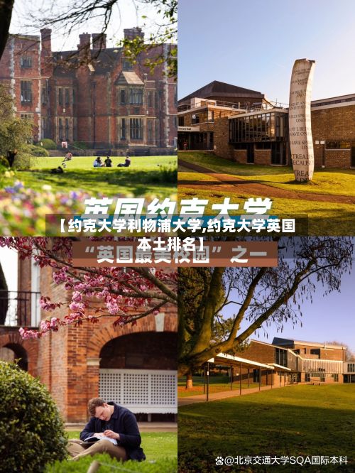 【约克大学利物浦大学,约克大学英国本土排名】-第2张图片