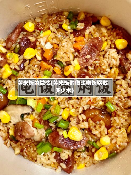 黄米饭的做法(黄米饭的做法电饭锅放多少水)-第2张图片