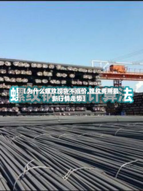 【为什么螺纹现货不涨价,螺纹费用最新行情走势】
