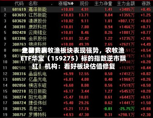生猪费用走弱！农牧渔板块表现强势	，农牧渔ETF华宝（159275）标的指数逆市飘红！机构：看好板块估值修复-第2张图片