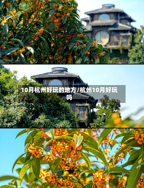 10月杭州好玩的地方/杭州10月好玩吗