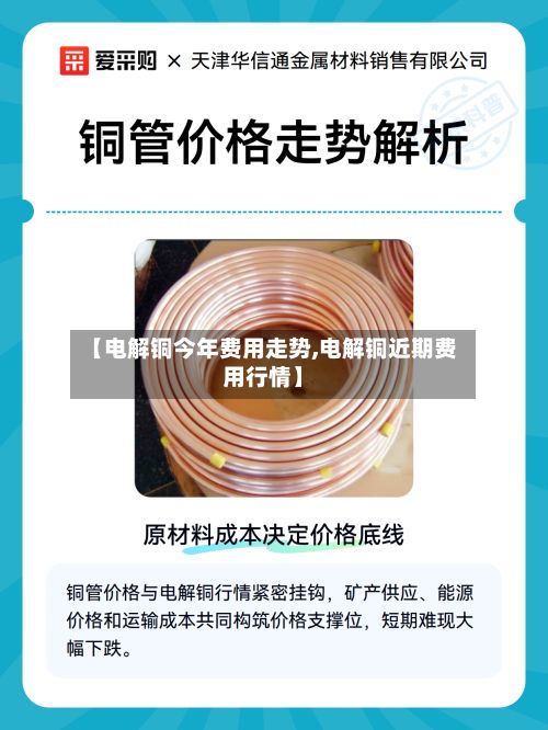 【电解铜今年费用走势,电解铜近期费用行情】-第3张图片