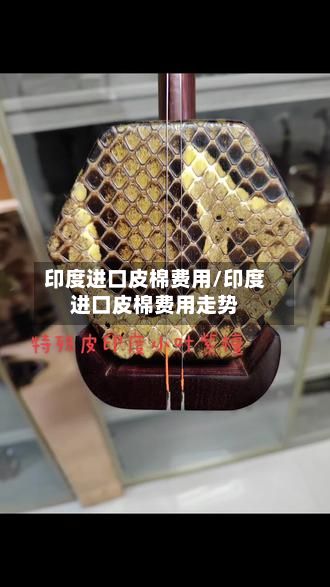 印度进口皮棉费用/印度进口皮棉费用走势