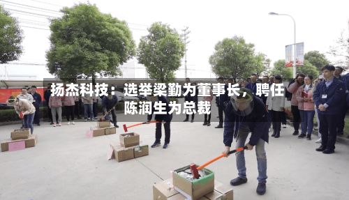 扬杰科技：选举梁勤为董事长，聘任陈润生为总裁-第3张图片
