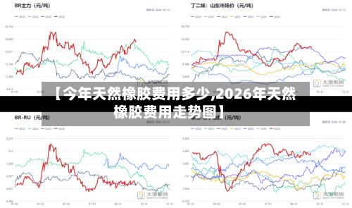 【今年天然橡胶费用多少,2026年天然橡胶费用走势图】