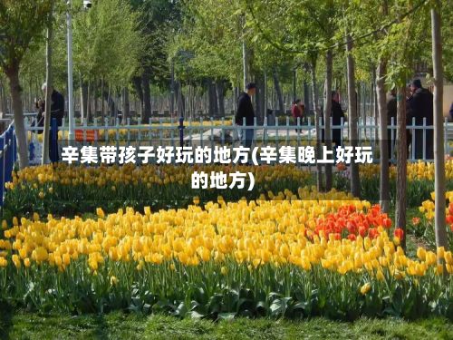 辛集带孩子好玩的地方(辛集晚上好玩的地方)