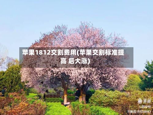 苹果1812交割费用(苹果交割标准提高 后大涨)