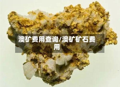 澳矿费用查询/澳矿矿石费用