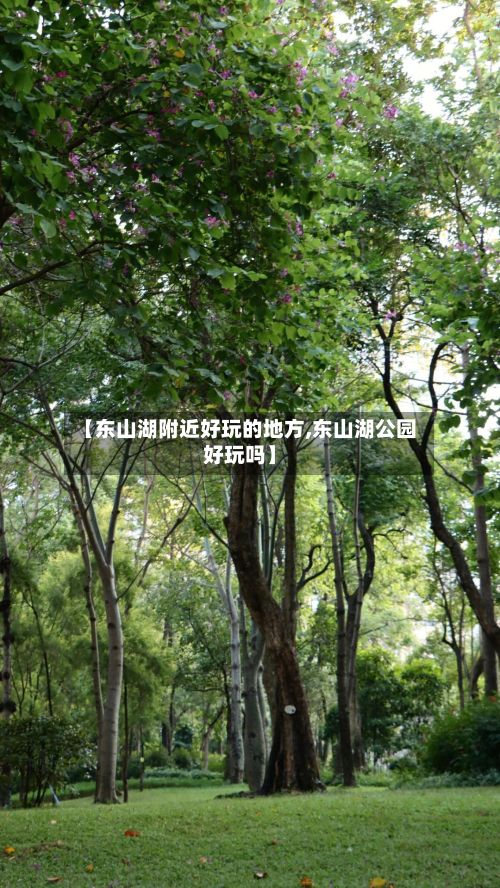 【东山湖附近好玩的地方,东山湖公园好玩吗】-第2张图片