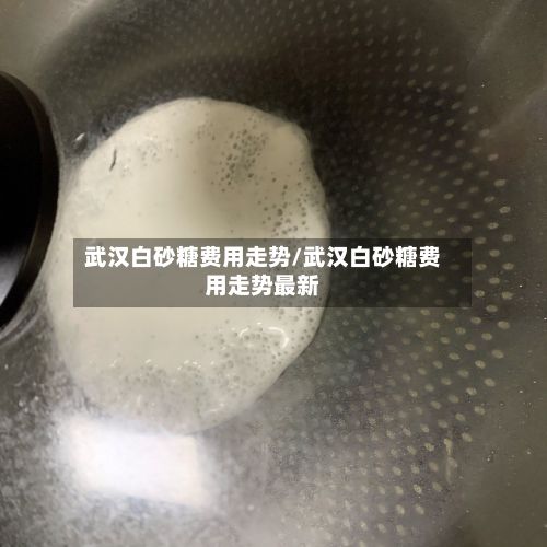 武汉白砂糖费用走势/武汉白砂糖费用走势最新