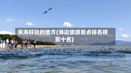 滨海好玩的地方(海边旅游景点排名榜前十名)