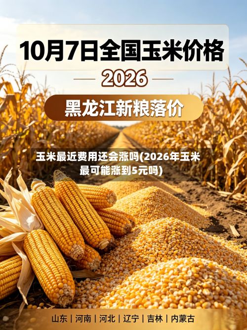 玉米最近费用还会涨吗(2026年玉米最可能涨到5元吗)-第3张图片