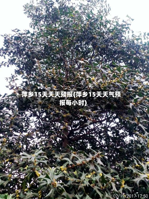 萍乡15天天天预报(萍乡15天天气预报每小时)-第2张图片