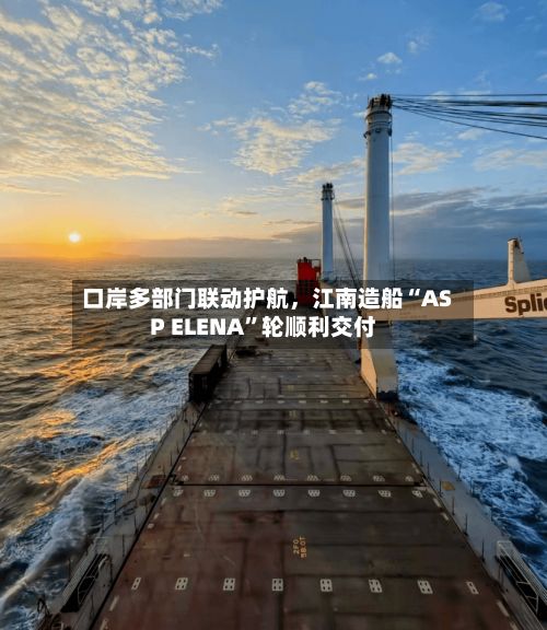 口岸多部门联动护航，江南造船“ASP ELENA”轮顺利交付-第3张图片