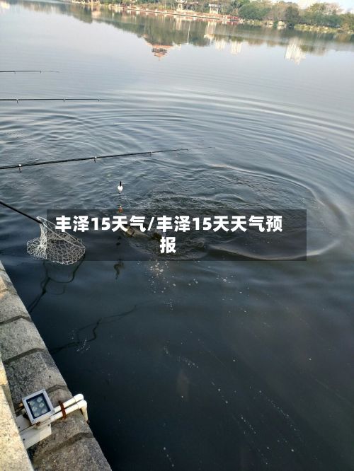丰泽15天气/丰泽15天天气预报-第2张图片