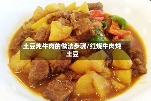 土豆炖牛肉的做法步骤/红烧牛肉炖土豆-第2张图片