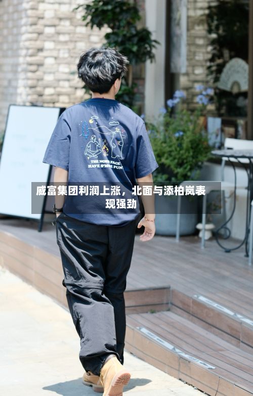 威富集团利润上涨，北面与添柏岚表现强劲
