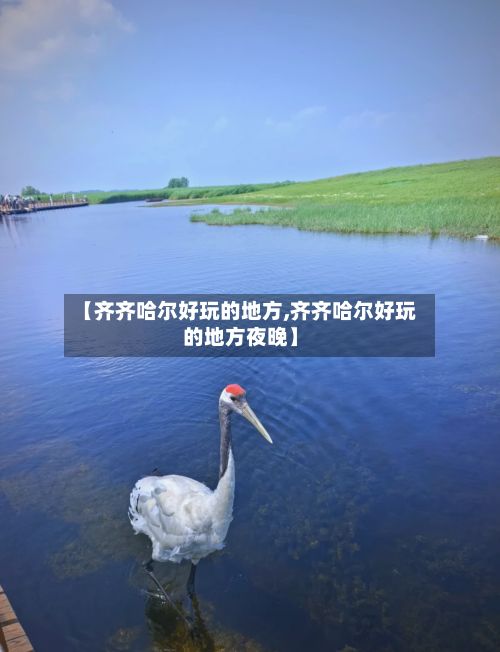 【齐齐哈尔好玩的地方,齐齐哈尔好玩的地方夜晚】-第2张图片