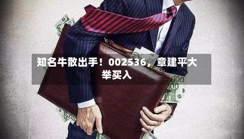 知名牛散出手！002536	，章建平大举买入-第2张图片