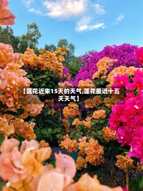 【莲花近来15天的天气,莲花最近十五天天气】-第2张图片