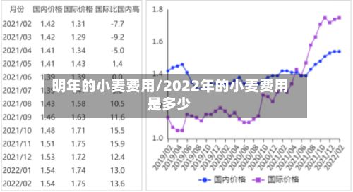 明年的小麦费用/2022年的小麦费用是多少