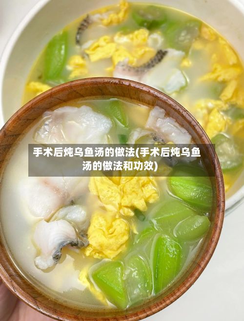 手术后炖乌鱼汤的做法(手术后炖乌鱼汤的做法和功效)