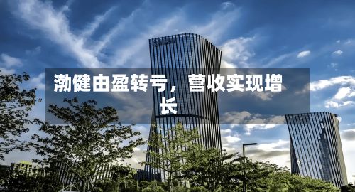 渤健由盈转亏，营收实现增长-第3张图片