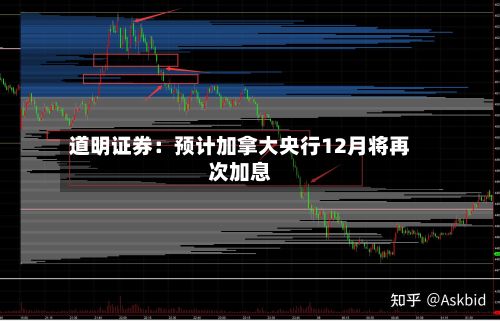 道明证券：预计加拿大央行12月将再次加息