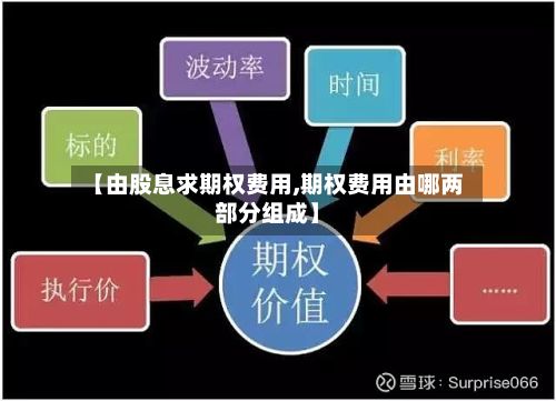 【由股息求期权费用,期权费用由哪两部分组成】-第3张图片
