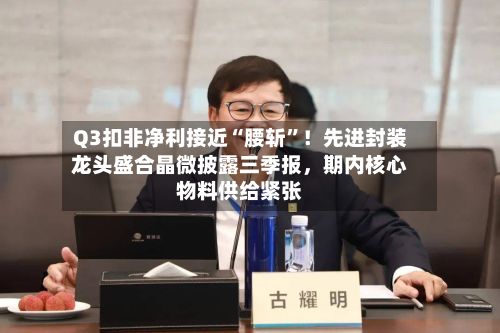 Q3扣非净利接近“腰斩”！先进封装龙头盛合晶微披露三季报	，期内核心物料供给紧张-第2张图片