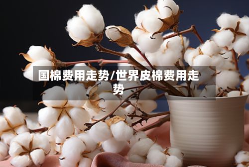 国棉费用走势/世界皮棉费用走势-第2张图片
