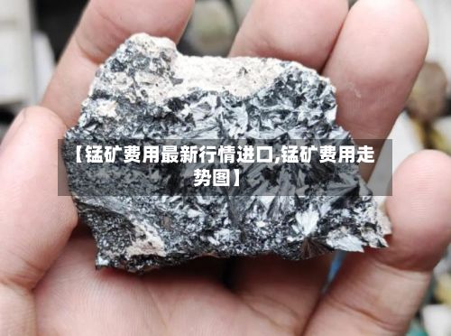 【锰矿费用最新行情进口,锰矿费用走势图】-第2张图片
