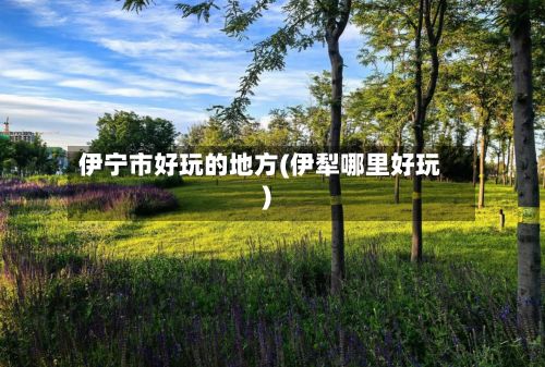 伊宁市好玩的地方(伊犁哪里好玩)