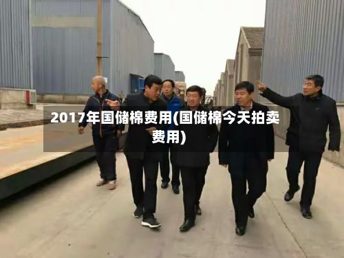 2017年国储棉费用(国储棉今天拍卖费用)