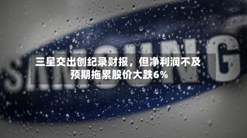 三星交出创纪录财报，但净利润不及预期拖累股价大跌6%-第1张图片