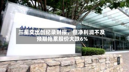 三星交出创纪录财报，但净利润不及预期拖累股价大跌6%-第2张图片