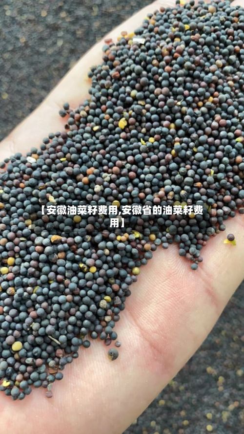 【安徽油菜籽费用,安徽省的油菜籽费用】-第3张图片
