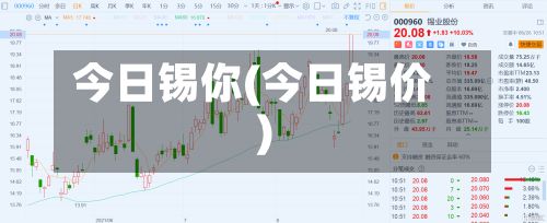今日锡你(今日锡价)