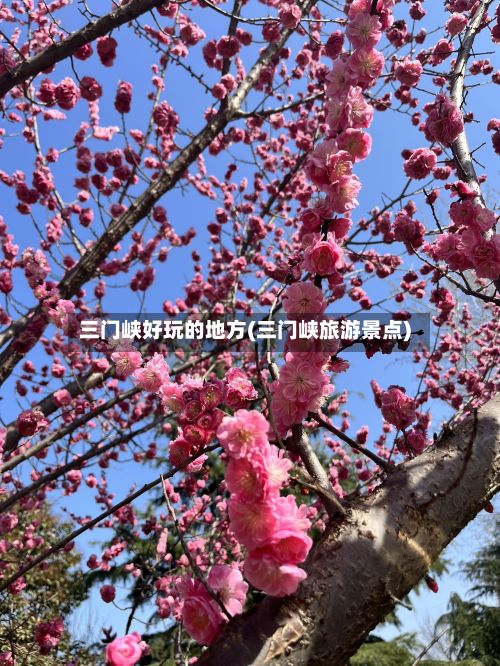 三门峡好玩的地方(三门峡旅游景点)-第3张图片