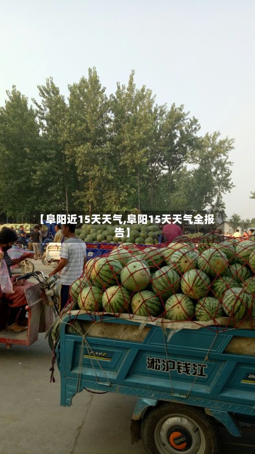 【阜阳近15天天气,阜阳15天天气全报告】