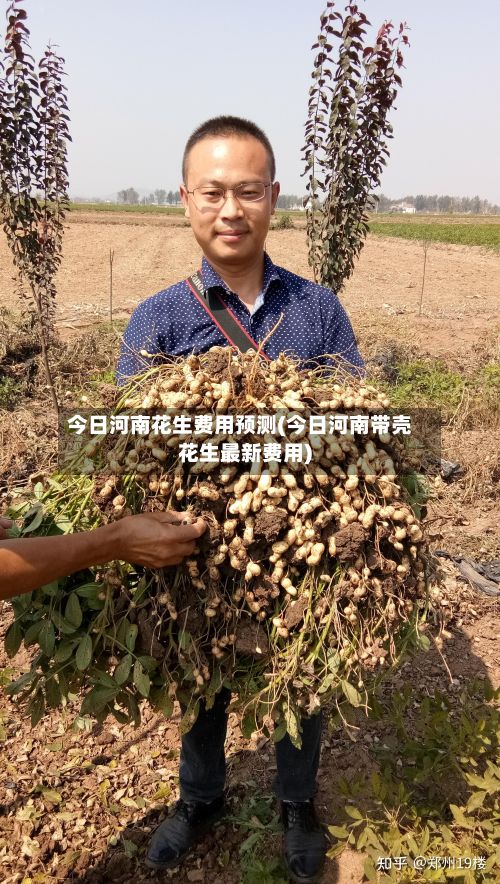 今日河南花生费用预测(今日河南带壳花生最新费用)-第2张图片