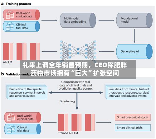 礼来上调全年销售预期，CEO称肥胖药物市场拥有“巨大”扩张空间-第2张图片