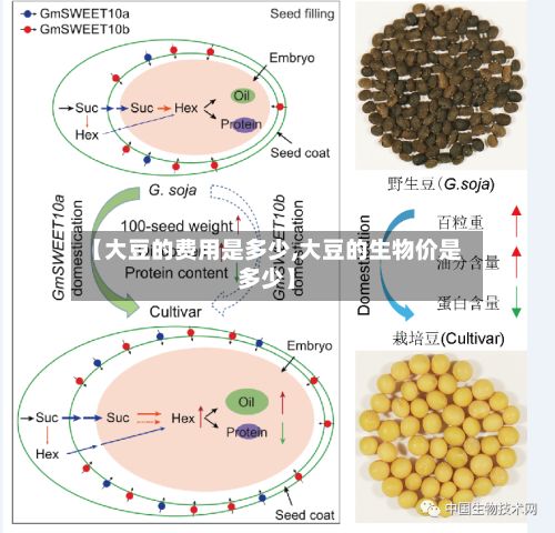 【大豆的费用是多少,大豆的生物价是多少】