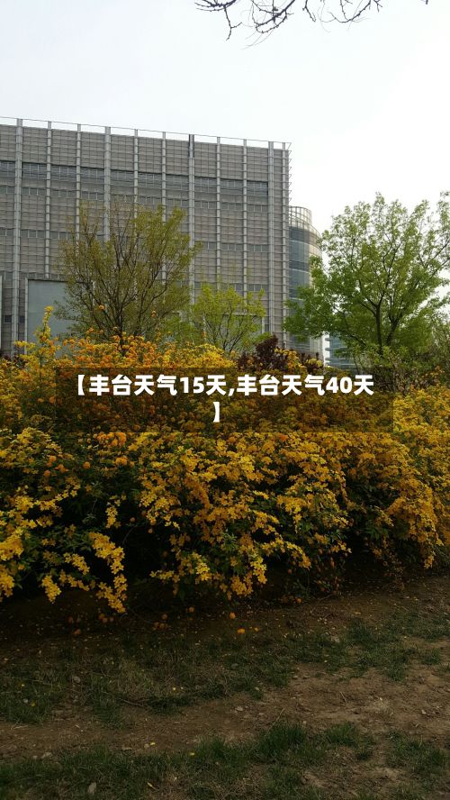 【丰台天气15天,丰台天气40天】