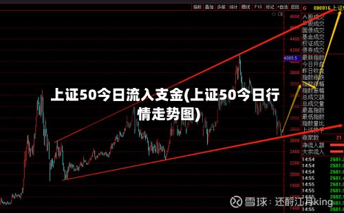 上证50今日流入支金(上证50今日行情走势图)-第3张图片