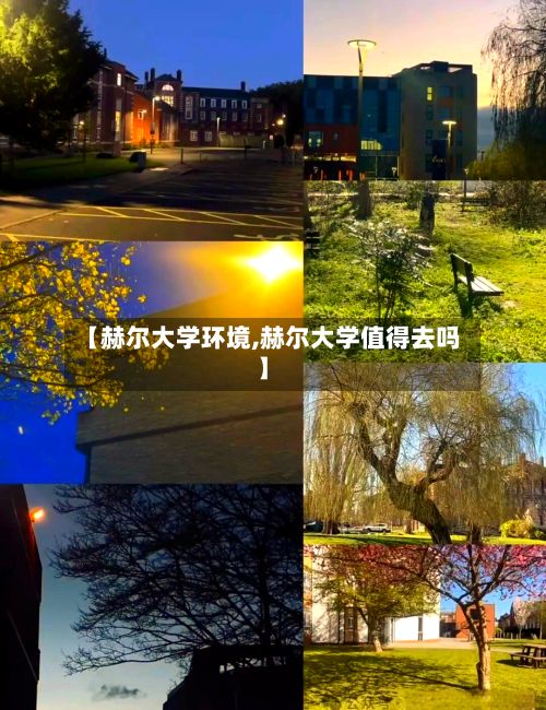 【赫尔大学环境,赫尔大学值得去吗】-第3张图片