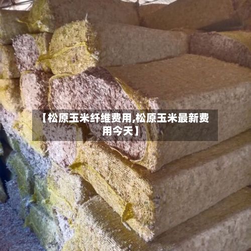 【松原玉米纤维费用,松原玉米最新费用今天】-第2张图片
