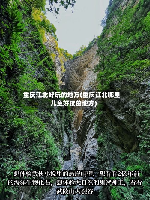 重庆江北好玩的地方(重庆江北哪里儿童好玩的地方)