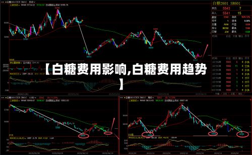 【白糖费用影响,白糖费用趋势】